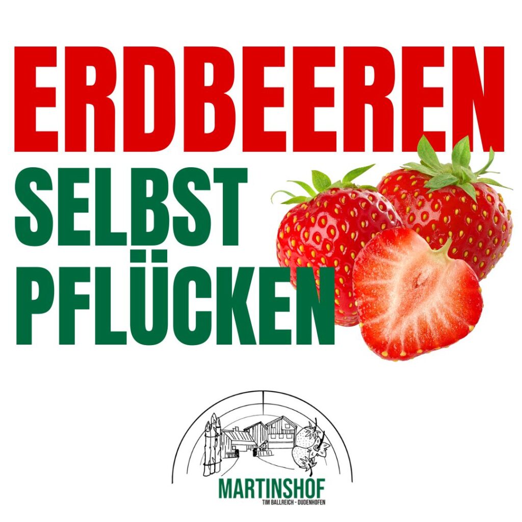 Erdbeeren selbst pflücken