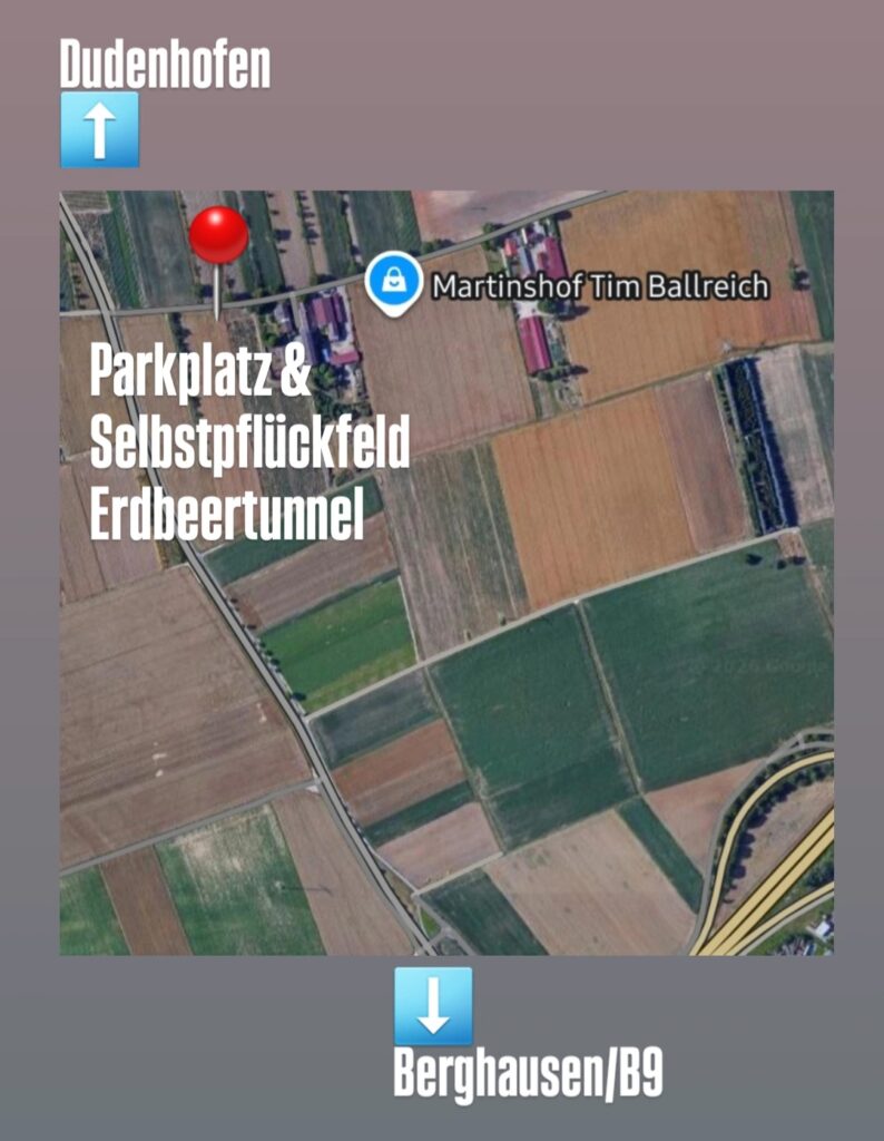 Parkplatz Selbstpflückfeld Erdbeertunnel