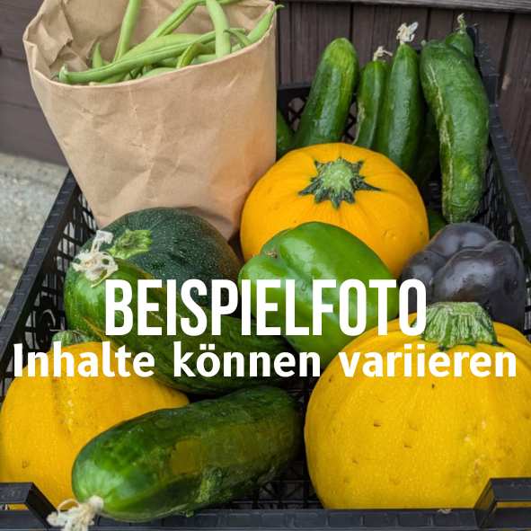 VUN-UNS-Kiste (Saisonales Gemüse aus eigenem Anbau)