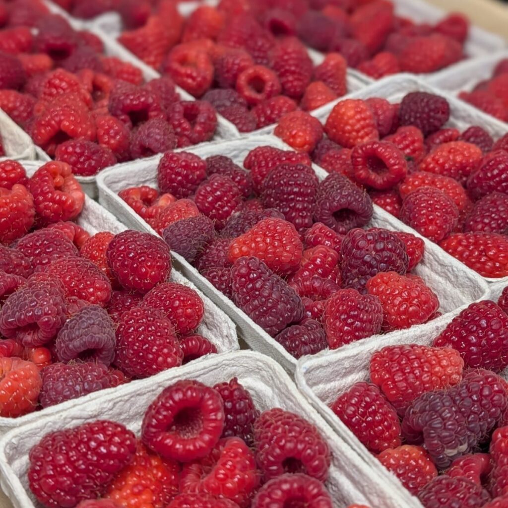 Himbeeren