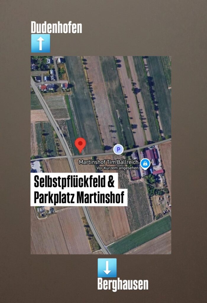 Selbstpflückfeld, Parkplatz Martinshof