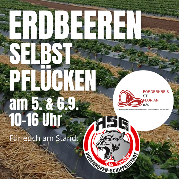 Erdbeeren selbstpflücken HSG Freiwillige Feuerwehr