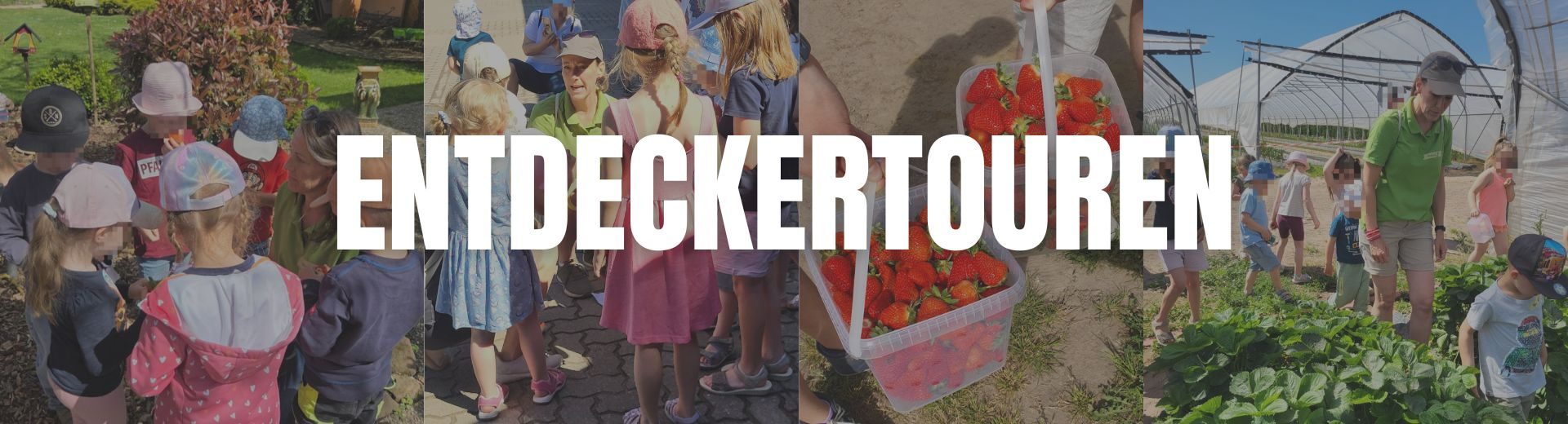 Entdeckertouren Martinshof