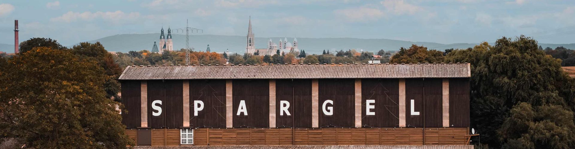 titel-Spargel-Ballreich-Martinshof